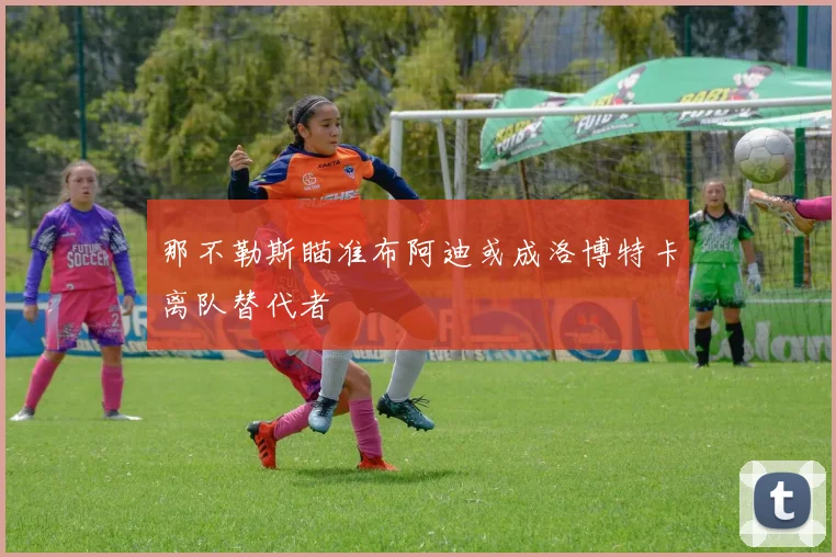 那不勒斯瞄准布阿迪或成洛博特卡离队替代者