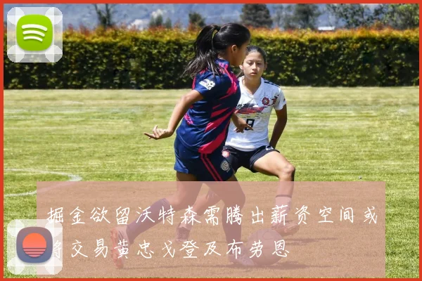 掘金欲留沃特森需腾出薪资空间或将交易黄忠戈登及布劳恩